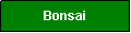 Textfeld: Bonsai